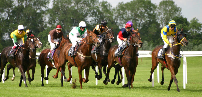 The Festival at Cheltenham Racecourse is a four-day affair that will see 28 races occur from March 10 – 13