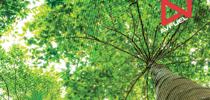 Avfuel is committed to helping the industry reach its carbon neutrality goals and now offers a voluntary carbon offset program for its fueling partners