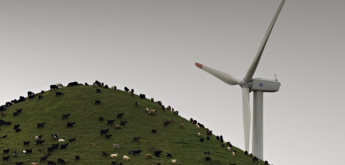 TAG Aviation has announced its partnership with climate and sustainable development experts, ClimateCare